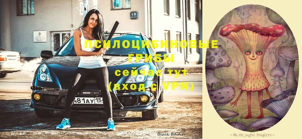 крисы Балабаново