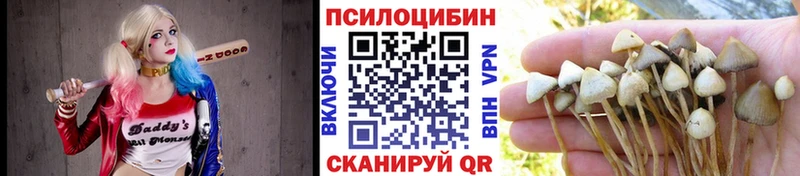 Псилоцибиновые грибы Psilocybine cubensis  продажа наркотиков  маркетплейс наркотические препараты  Верхняя Салда 